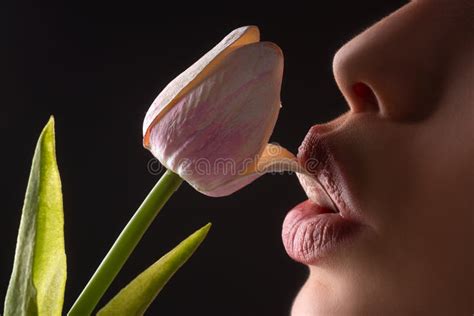 Lesbian Foreplay Lip With Tulip Flower Stock Photo Image Of Oral Cosmetology