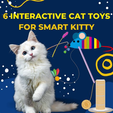 6 Interactive cat toys for smart kitty | Pet Life