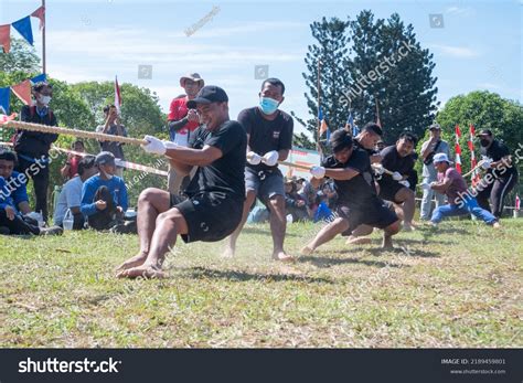 tarik tambang traditional competition celebrating indonesian stock