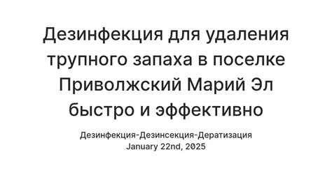 Дезинфекция для удаления трупного запаха в поселке Приволжский Марий Эл ...
