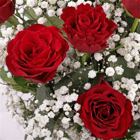 Dozen Red Roses Gypsophila Bouquet