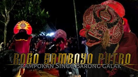 Rampokan Singo Barong Rogo Samboyo Putro Live Kasembon Malang