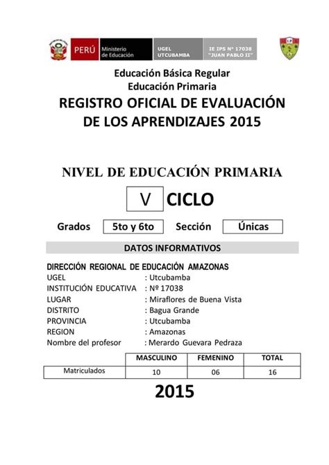 Registro Auxiliar De Evaluacion Primaria Bimestral Pdf