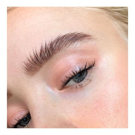 Bushy Eyebrows Natural Eyebrows Natural Makeup Shape Eyebrows