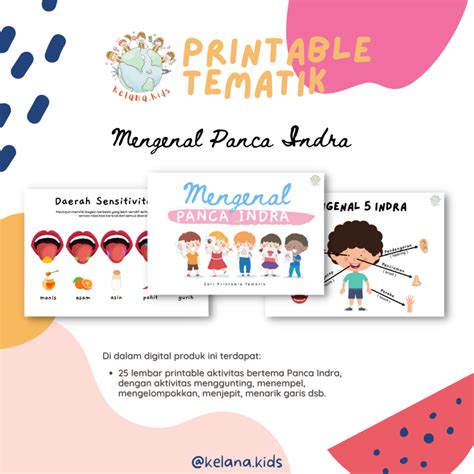 Worksheet Lembar Kerja Printable Tematik Anak Mengenal Panca Indra