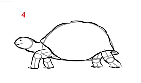 Turtle Drawing How To Draw A Turtle