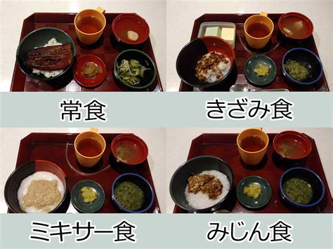 介護食の食形態（常食、きざみ食、みじん食、ミキサー食） 社会福祉法人まりも会