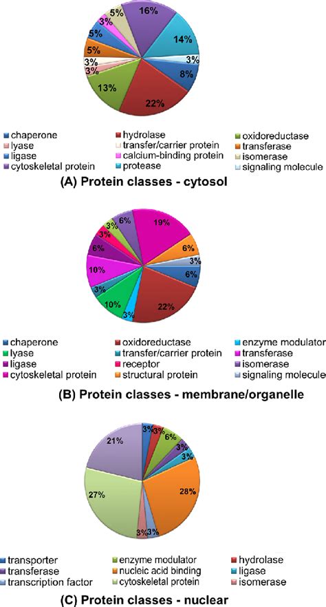 Classification Of The Identified Proteins As Present In The Different