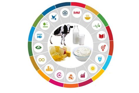 European Dairy Sector And Sustainable Development Goals Dairy