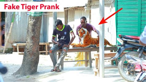 Fake Tiger Prank Fake Tiger Vs Man Prank On Public Part