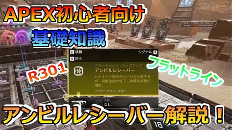 Apex初心者向け！基礎知識！アンビルレシーバー解説！ Youtube