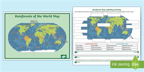 Rainforest Map Labelling Twinkl