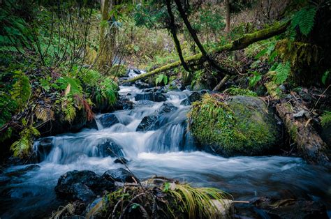 Free Images Landscape Nature Waterfall Creek Wilderness River