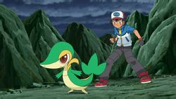 Ash's Snivy - Bulbapedia, the community-driven Pokémon encyclopedia