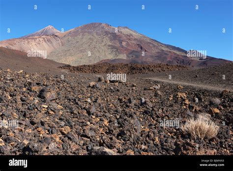 Landschaft Bei Teide Nationalpark Hi Res Stock Photography And Images