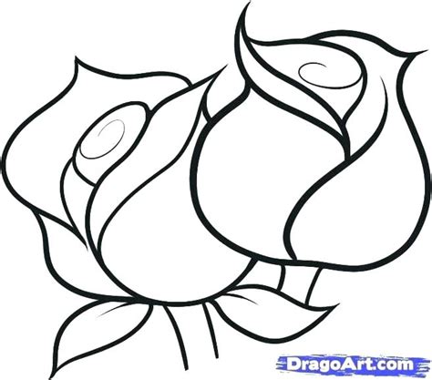 Rose Outline Drawing | Free download on ClipArtMag