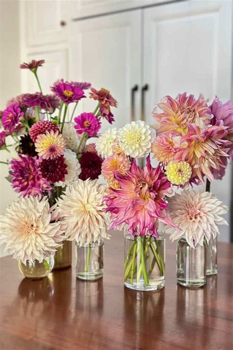 10 Beautiful DIY Dahlia flower Arrangement or bouquet ideas