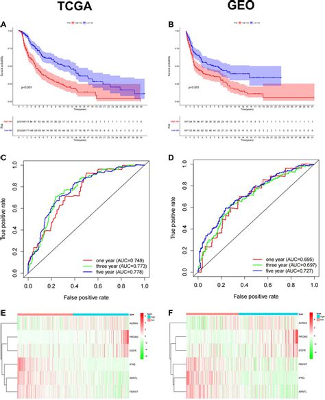 Frontiers Construction And Validation Of A 6 Ferroptosis Related Gene