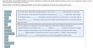 Solved how do epigenetic changes in cancer cells contribute | Chegg.com