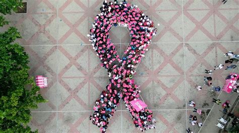 Contra el cáncer de mama: UNIMAGDALENA escenario del lazo rosa gigante ...