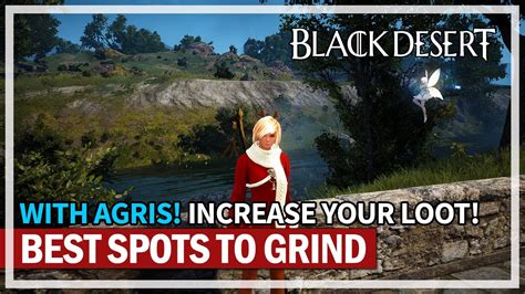 My Favorite Best Grind Spots With Agris In Black Desert Youtube