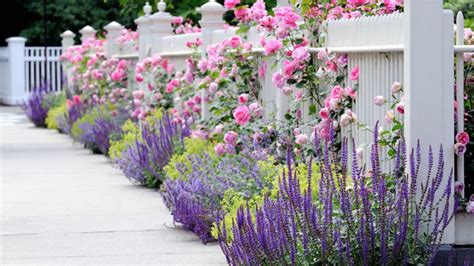 20 Ways to Landscape With Shrubs | Home Design Lover