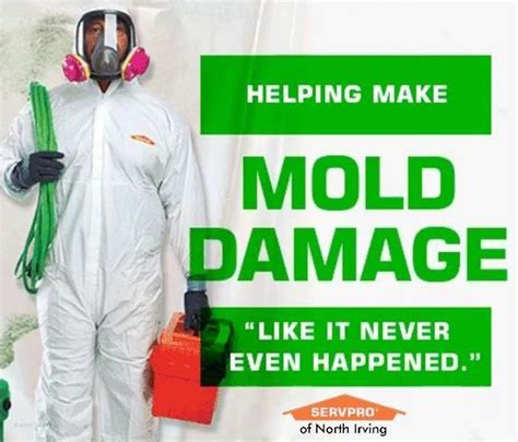 Does Servpro Do Mold Remediation