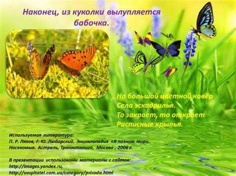 Презентация Бабочки 1 класс по окружающему миру – скачать бесплатно pptx
