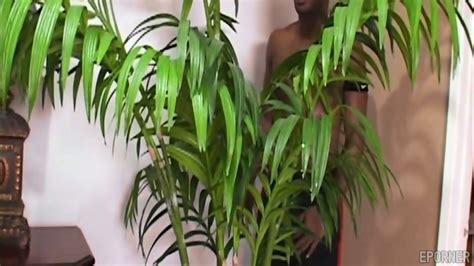 Hot Black Babe Tries Anal For First Time