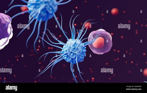 Illustration Of Signal Proteins Called Cytokines Red Dots And Three