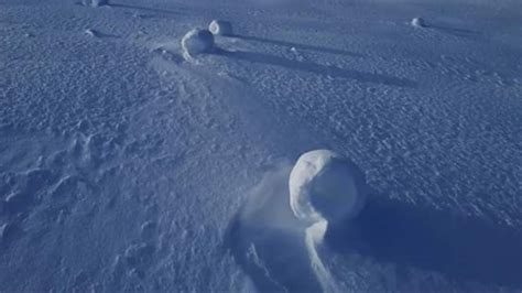 Canadian Tumbleweed Or Snow Ballers” As The Locals Call Them In