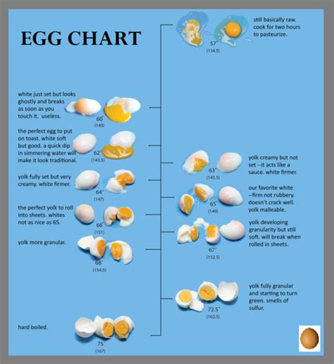 Basics Egg Chart Key 4 Cooking