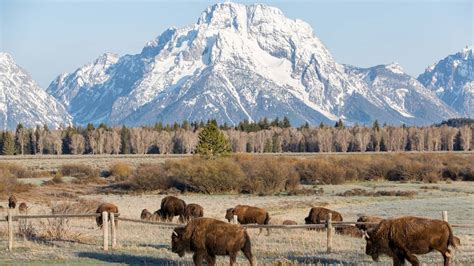 Jackson Hole Resort Luxury Ski Lodge Teton Village Four Seasons