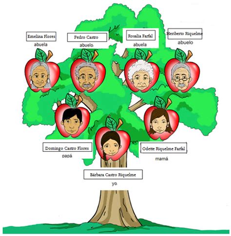 Arbol genealogico animados - Imagui