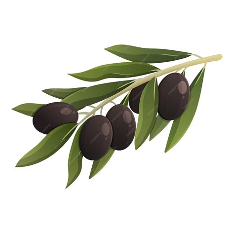 Premium Vector Olive Branch With Black Olives Vector Isolated