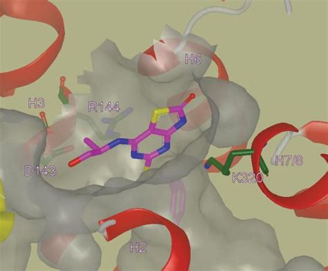 Intracellular View Of CXCR2 With Compound A Magenta Docked The