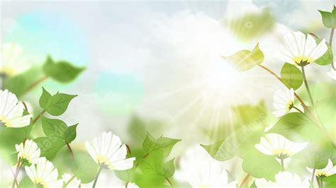 Beautiful 999 Powerpoint Background Green Nature High Definiton Images