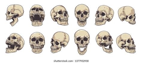 Skull Mouth Open: Over 2,124 Royalty-Free Licensable Stock ...