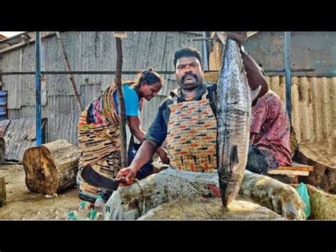 Kasimedu Selvam Big Seer Vanjaram Fish Cutting In Kasimedu Hd