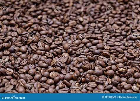 Freshly Roasted Coffee Beans Medium Roast Close Up Stock Image Image