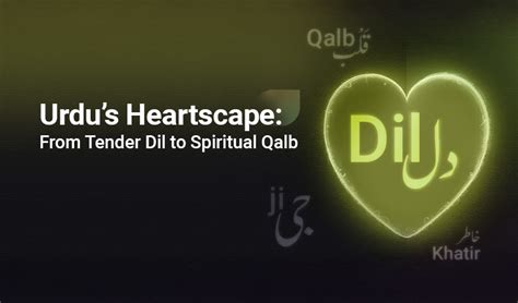 Fuck Meaning In Urdu Rekhta Dictionary