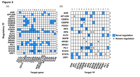 Predicted Transcriptional Regulatory Interactions By TFs Activated