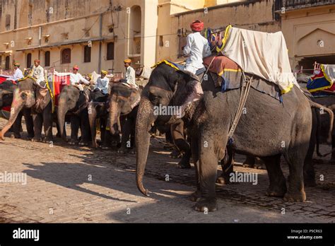 Elephant ride at Amber Fort, Jaipur, India Stock Photo - Alamy