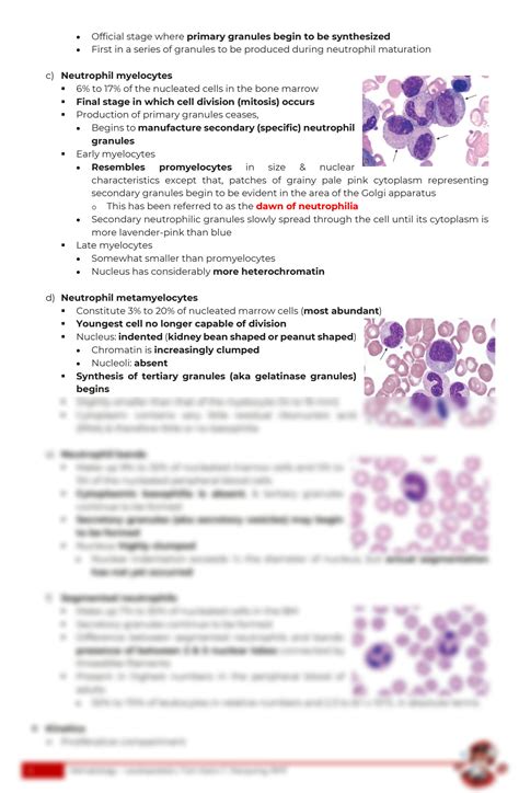 SOLUTION Hematology Leukopoiesis Studypool