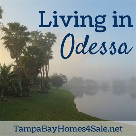 Living in Odessa, Florida - Real Estate Firm of Florida LLC | Tampa Bay ...