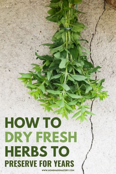 How To Dry Fresh Herbs To Preserve For Years Homemade Mastery