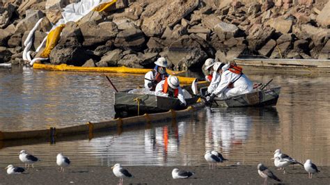 Vid O Etats Unis La Californie Lutte Contre Une Mar E Noire Qui