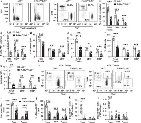 T Cell Abca1abcg1 Deficiency Decreases Blood Splenic And Para Aortic