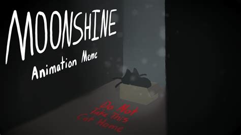 Moonshine Meme Do Not Take This Cat Home YouTube