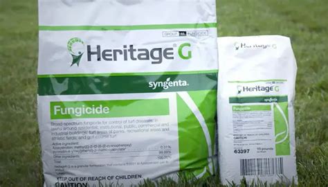 7 Best Fungicide For St Augustine Grass 2023 [reviewsand Guide]